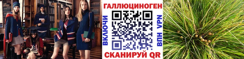 Галлюциногенные грибы мухоморы  Остров 